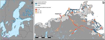 Understanding the Coastal Ecocline: Assessing Sea–Land Interactions at Non-tidal, Low-Lying Coasts Through Interdisciplinary Research